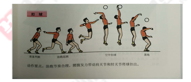 分钟;(2)展示乒乓球正手攻球的动作,设计排球正面屈体扣球的教学过程