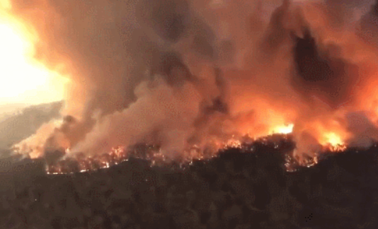 2020年省考申论热点：澳大利亚山火完全控制，喜讯!