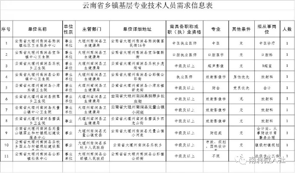 2020年云南省大理州南涧县乡镇基层专业技术人员需求岗位公示
