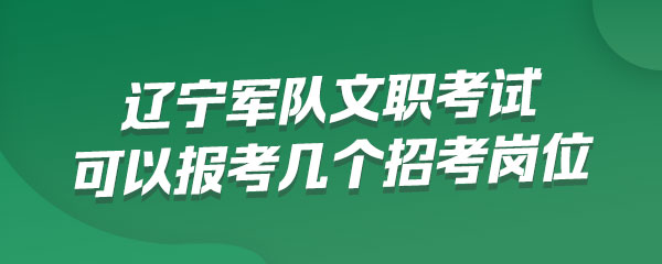 辽宁军队文职考试报考人员可以报考几个招考岗位