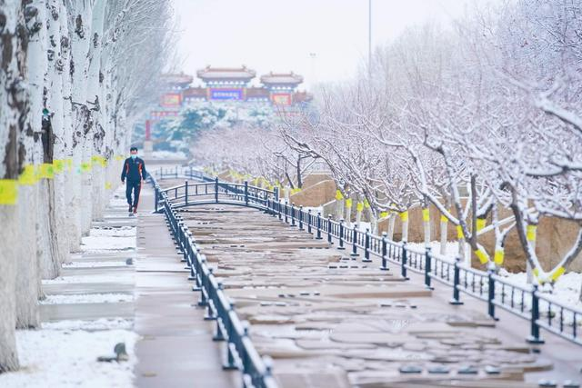 北京下雪了新鲜雪景图已到货一起看看来自北京的美景吧