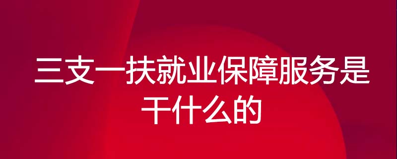 一,关于就业和社会保障服务平台的介绍