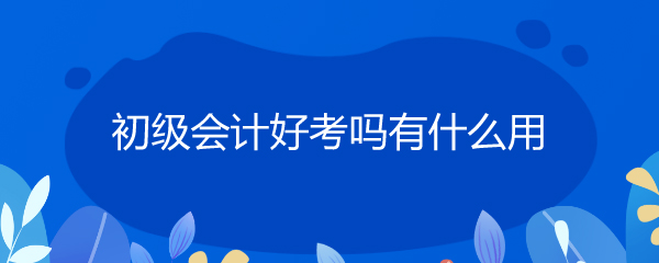 初级会计电算化难学吗_会计初级难考吗_初级会计电算化难吗