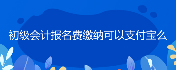 初级会计职称考试报名入口_初级会计职称考试报名_会计初级报名费