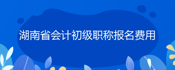 湖南省會計初級職稱報名費用