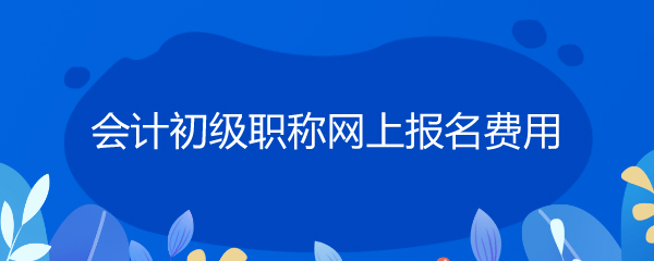 会计初级职称网上报名费用