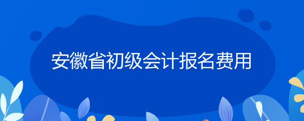 安徽省初级会计报名费用