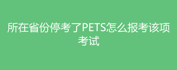 ʡͣPETSô