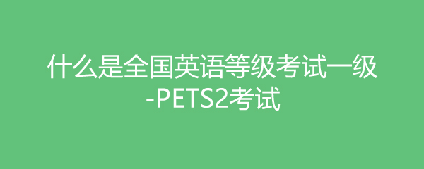 ʲôȫӢȼһ-PETS2