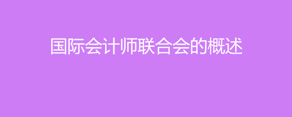 国际会计师联合会的概述