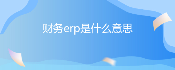 财务erp是什么意思