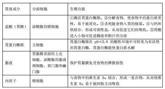 胃友的成分图片