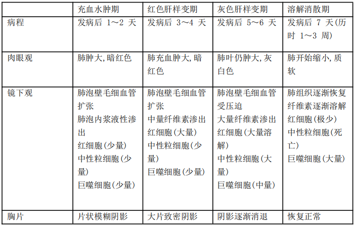 病理变化大叶性肺炎