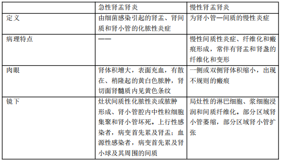 湿疹图片初期症状_初期湿疹症状图片大全_初期湿疹症状图片女性