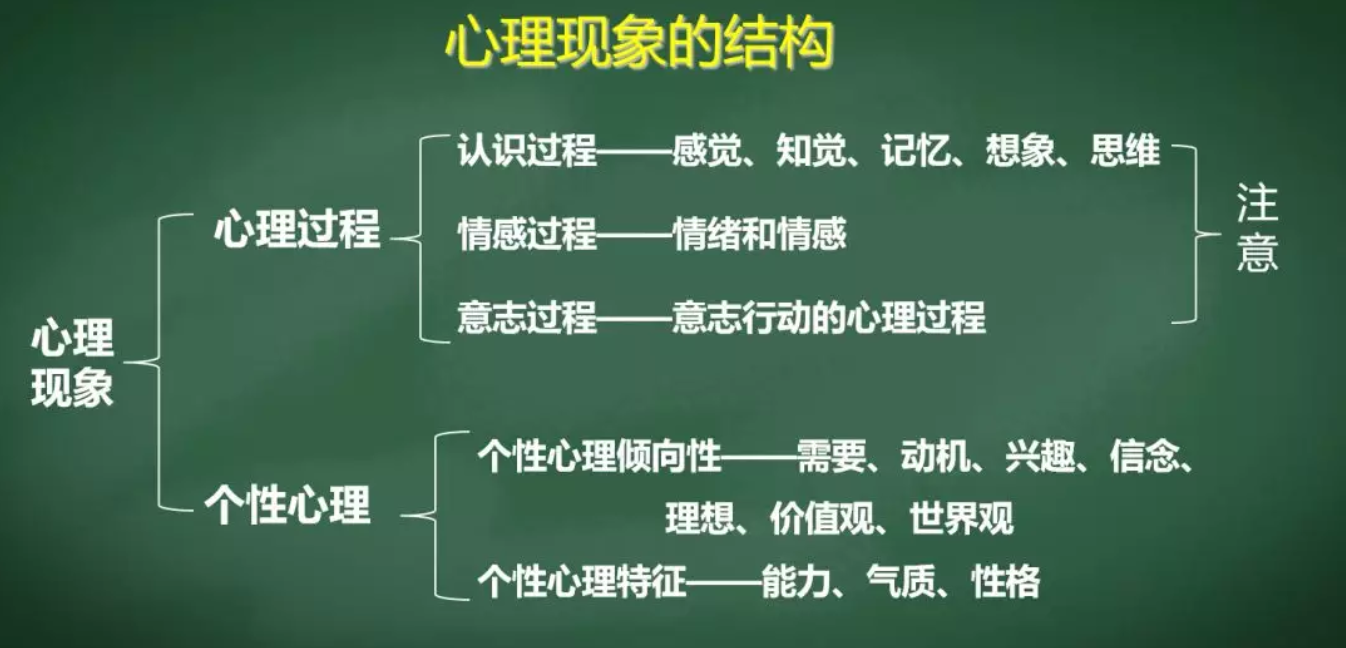 心理现象结构示意图图片