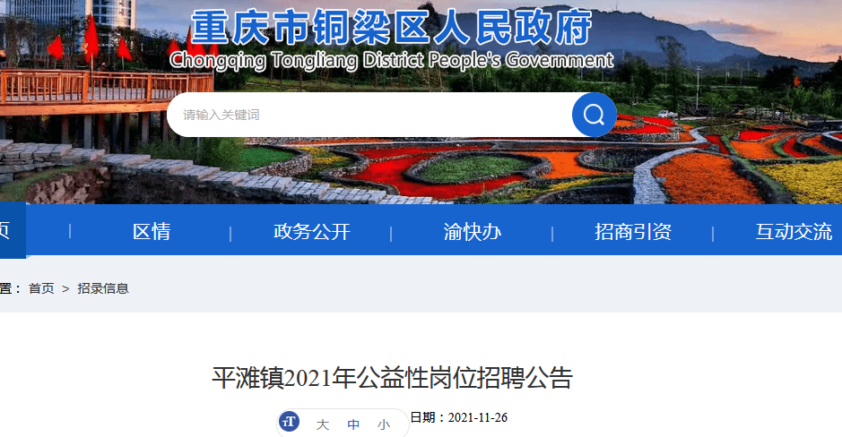 铜梁招聘_火热 铜梁大型招聘会吸引逾千人争相竞聘(3)