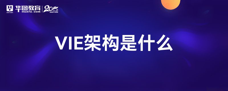 VIE架构是什么