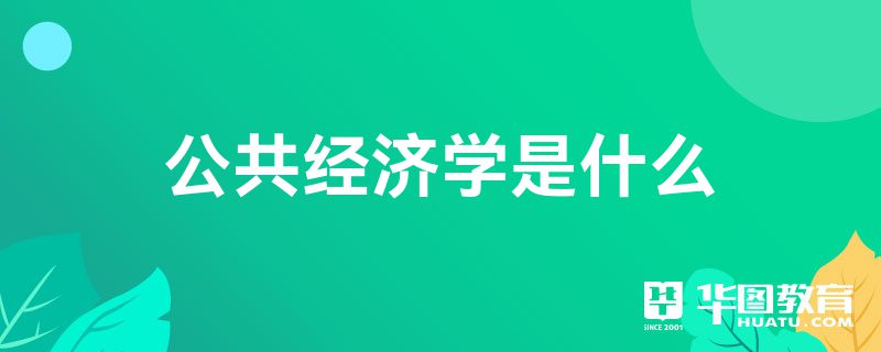 公共经济学是什么