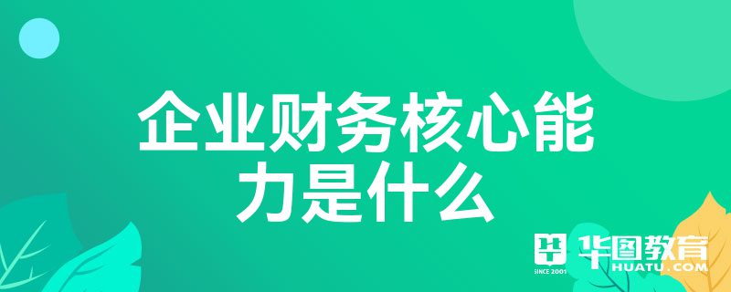 企业财务核心能力是什么