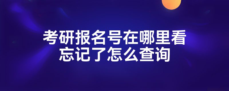 考研报名号在哪里看忘记了怎么查询