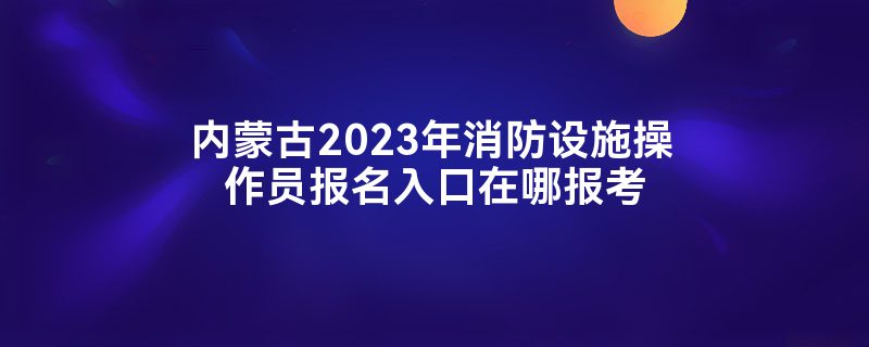 ɹ2023ʩԱı