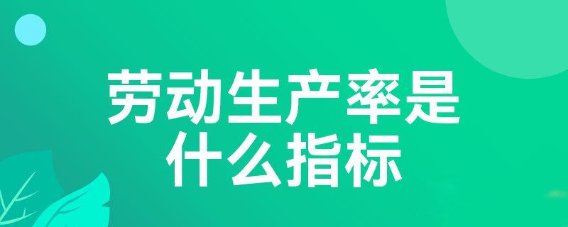 劳动生产率是什么指标