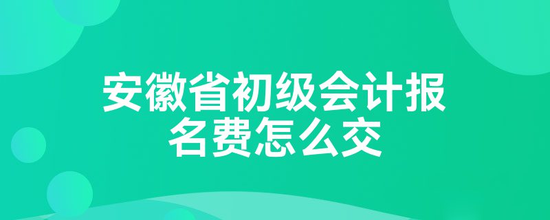 安徽省初级会计报名费怎么交