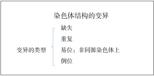 教师招聘面试高中生物-《染色体结构的变异》教案