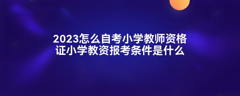 2023怎么自考小学教师资格证小学教资报考条件是什么