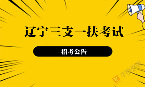 辽宁三支一扶公告职位表下载