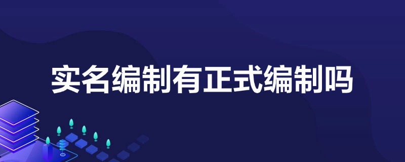 实名编制有正式编制吗